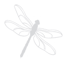 dragonfly-divider-icon